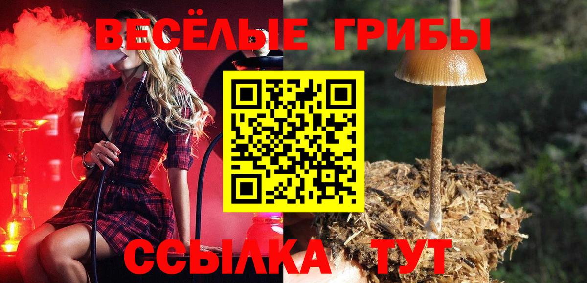Галлюциногенные грибы прущие грибы Крымск