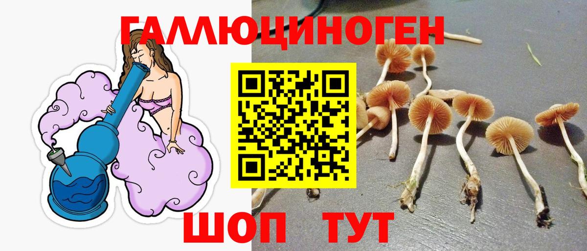 Псилоцибиновые грибы прущие грибы  Галлюциногенные грибы мицелий  Крымск  Вход с VPN 